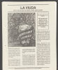 image of pcn_buenaventura_publicaciones_00033_0001-Thumbnail.jpg